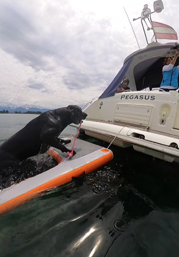 Bildschirmfoto 2025 07 27 Um 15.18.43